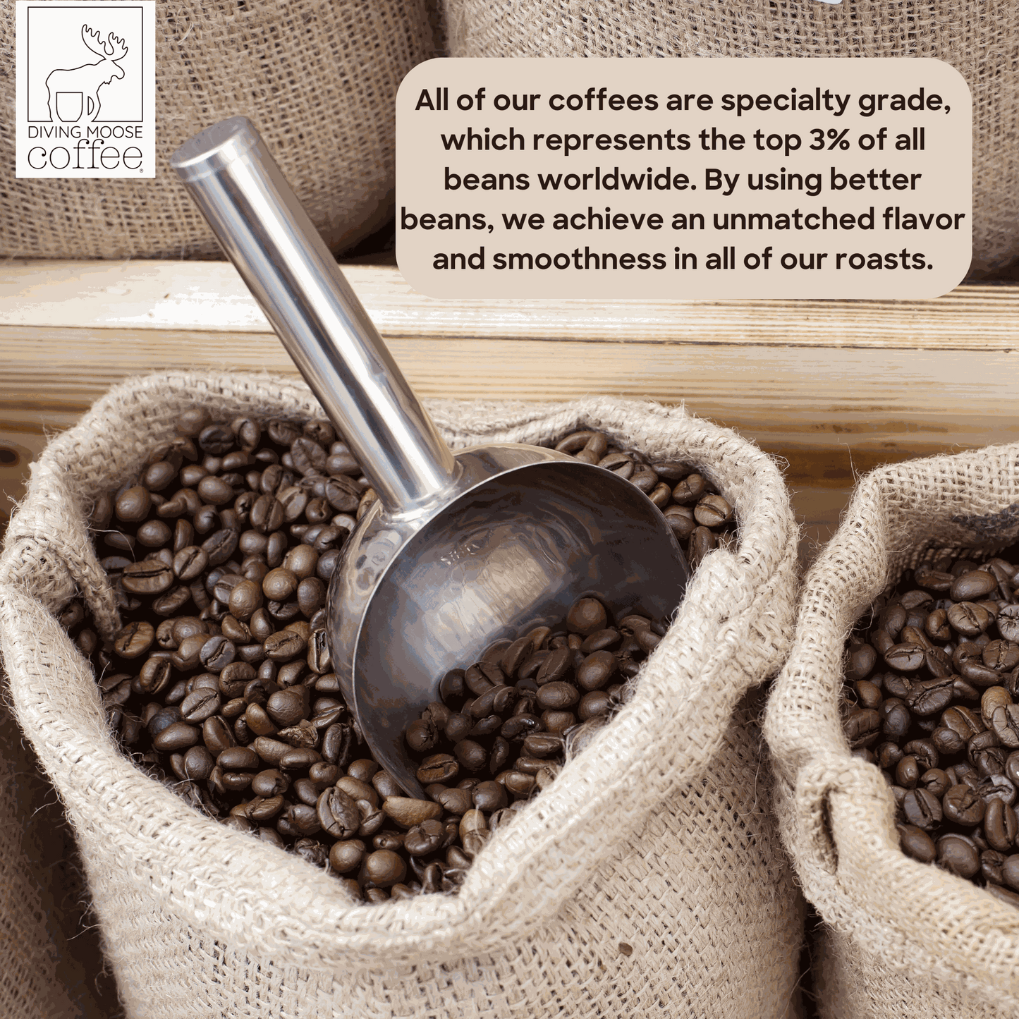 Burlap sacks filled with high-quality Arabica decaf espresso coffee beans and a metal scoop.