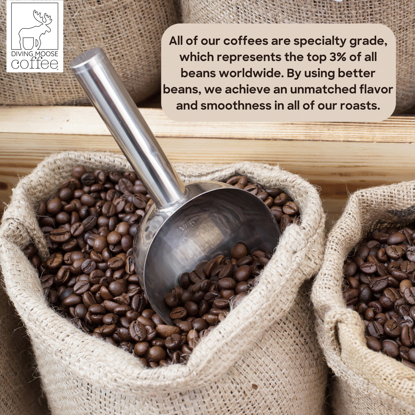 Decaf house medium-light roast blend coffee beans in burlap sacks with metal scoop, specialty grade and smooth flavor.