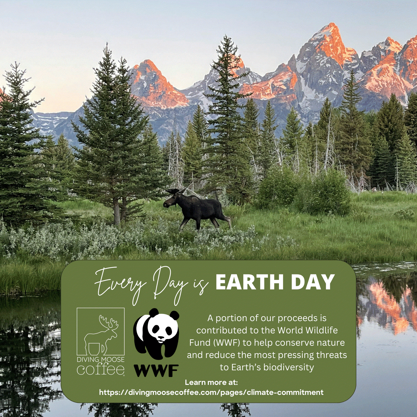 A serene landscape with a moose near a reflective lake, promoting Earth Day and conservation efforts with WWF.