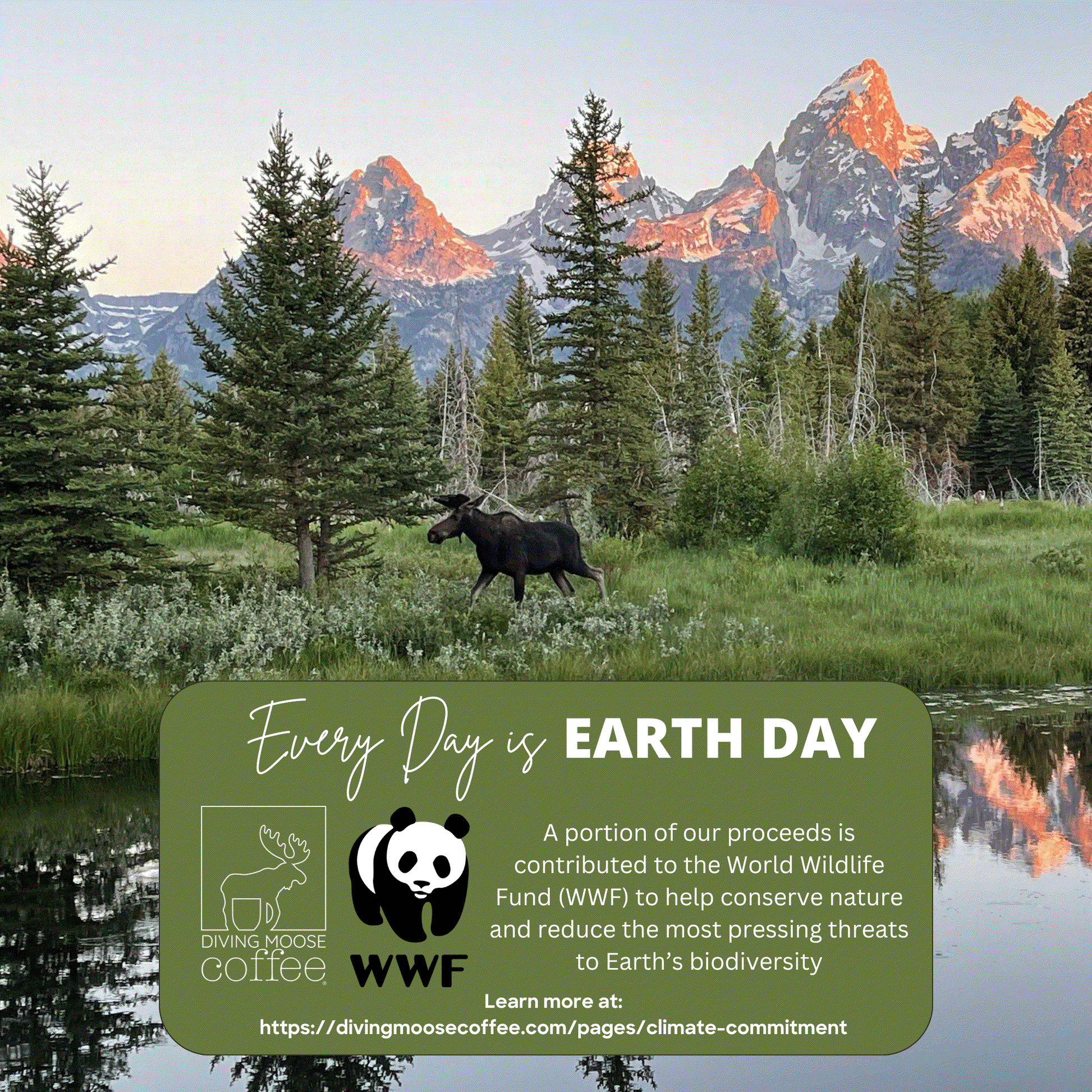 A serene landscape with a moose near a reflective lake, promoting Earth Day and conservation efforts with WWF.
