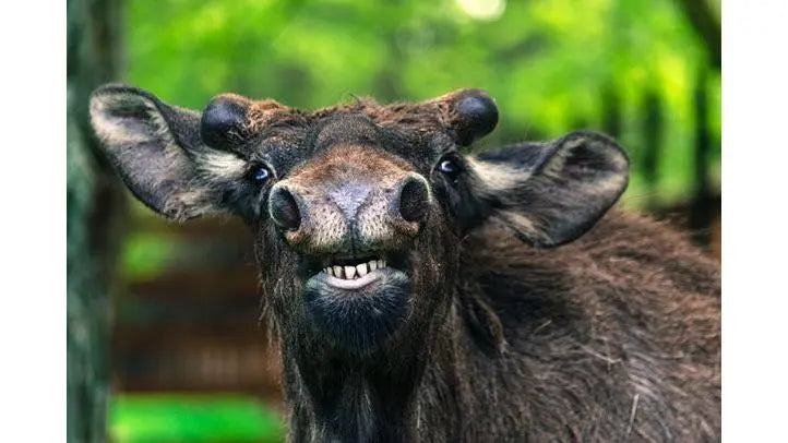 Small Batch Blends | Crafted with Care and Passion